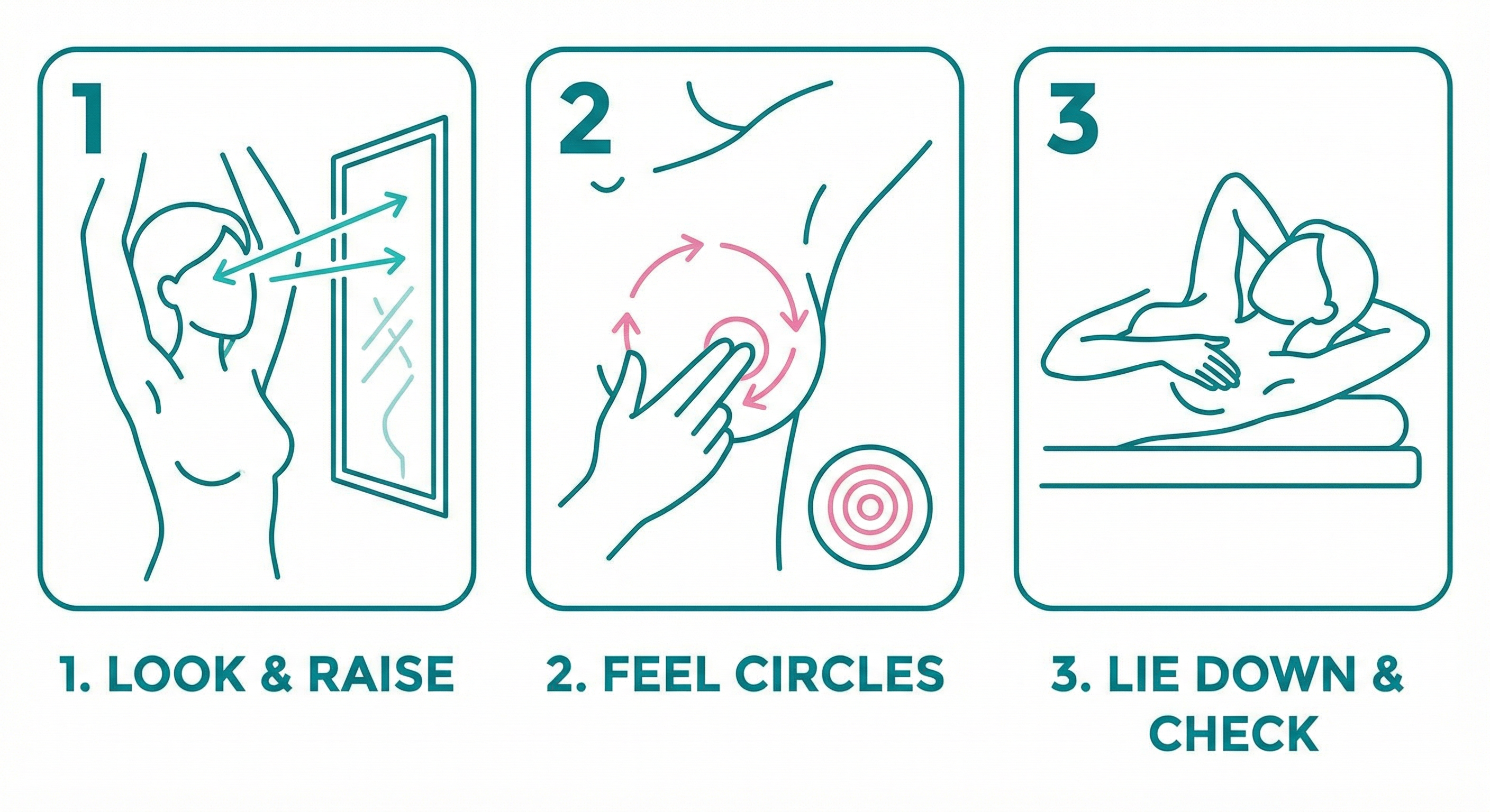Breast Self-Exam Steps