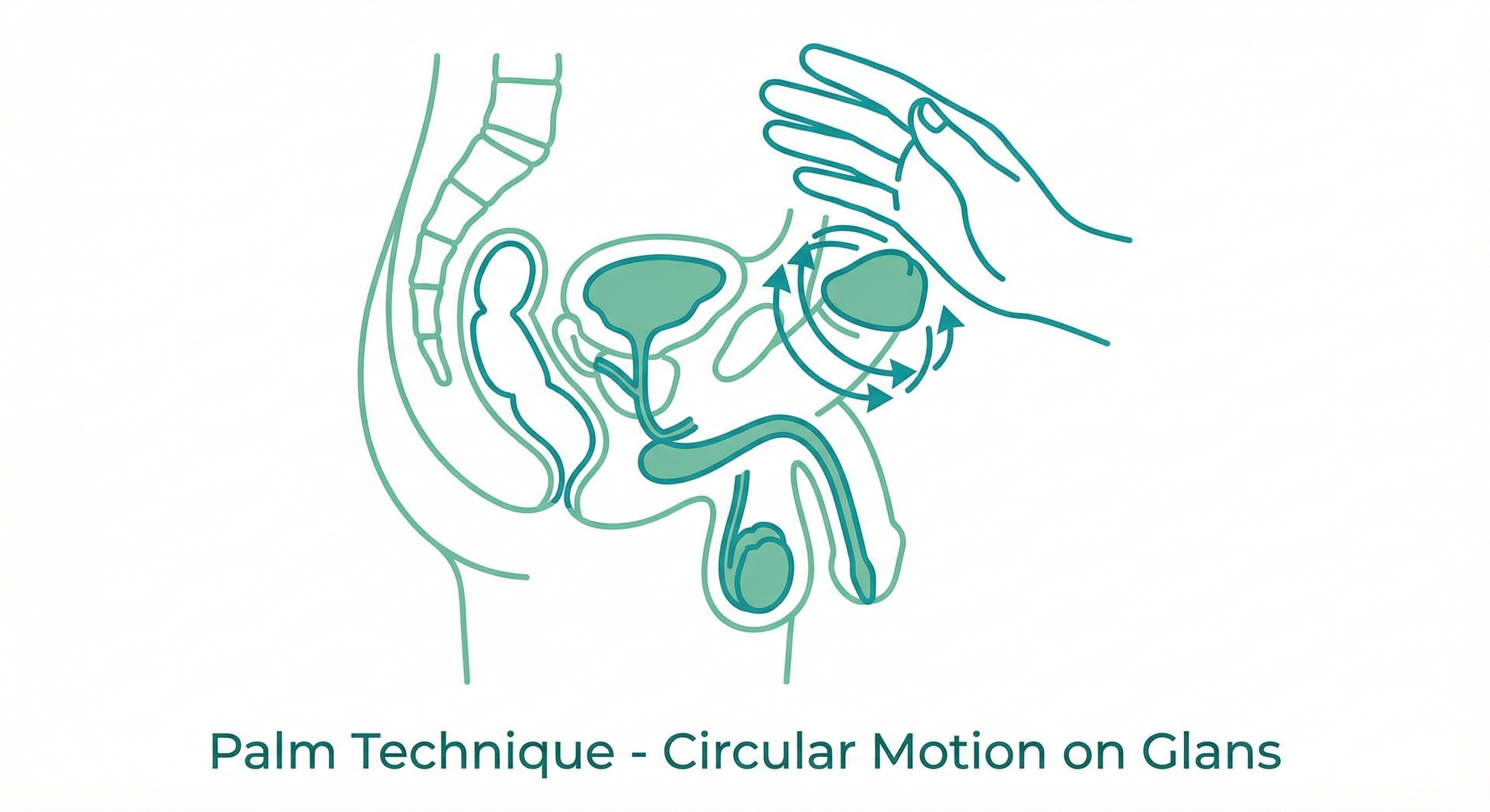 Palm rubbing technique with circular motion arrows